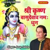 About Shree Krishna Vasudevay Namah Dhun Song